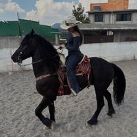 maria2171josege