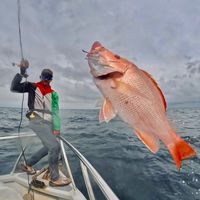 original sound - STEADY angler