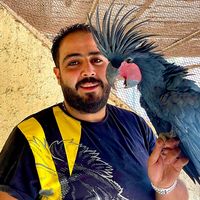 mostafa.tata.jumanji
