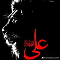 pslcricket354