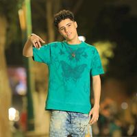 الصوت الأصلي