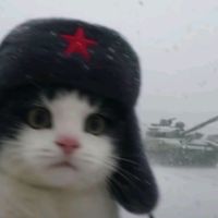 user9140506122688