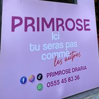 primrosedraria27