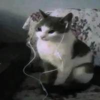 original sound - dx._068