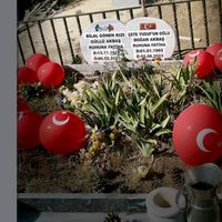 ayaz_akbas01
