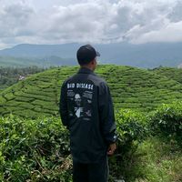 pernah.tulus96