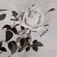 original sound - leydileydi98