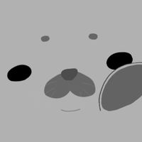 xx.o__o