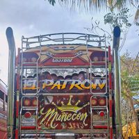 el....patron.502