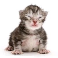 hello.iamvaleriagomez