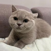 _nurhaliza_3