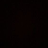 brau_1306