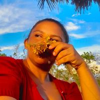 elisandraferreiradasilva