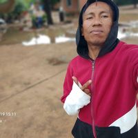 sepealexayat