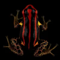 original sound - elsapitokaraoke