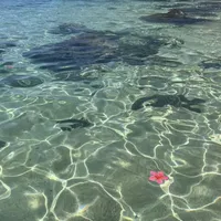 original sound - z.znusun