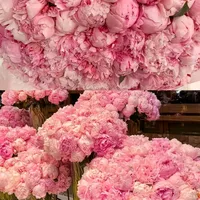 original sound - lemanichhh