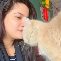 nusrat_jahan_shilw