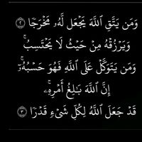 foufa506