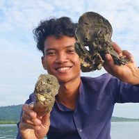 original sound - Vanny សមុទ្រ