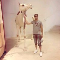 bhandarikalu7711