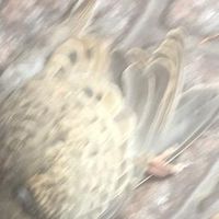 historiasdetiktok024
