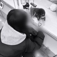miyu43838