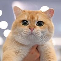 farmphanthawat0