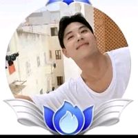 8591_han