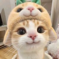 suara asli - عقله🥀
