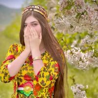 itx_laila804