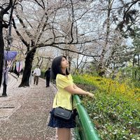 theintthazinaung61