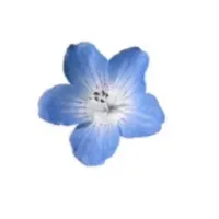 original sound - who_.ximx_