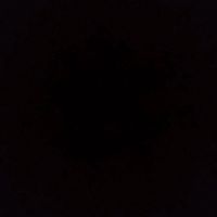 miguel_26111006