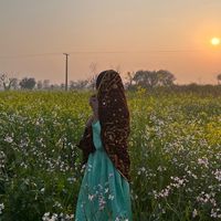 whylaraib