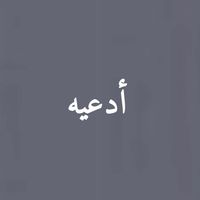 ii_20n