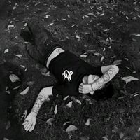 .camxcx.d