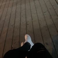 snao29