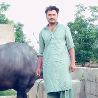 tanveer_gujjar55