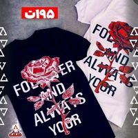 aryan.tajek1