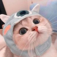 nhạc nền - Đức Nguyễn (Bênh)