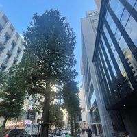 オリジナル楽曲 - ニコニ^_^