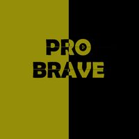 pro.brave