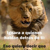 dennis.mairena62