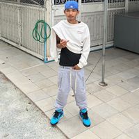 phoela281