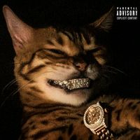 suara asli - dikz☁