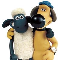 lazzi.sheep