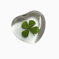 .product.reviews6