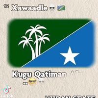 catuut1