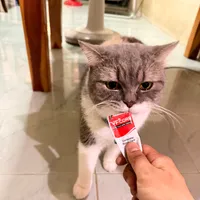 original sound - save5994